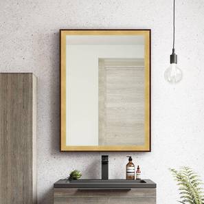 Benjamin wall mirror brown lp