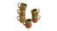Ellona Cups Set of 6 (Set of 6 Set, Caramel Brown & Sea Green) by Urban Ladder - Front View Design 1 - 429330