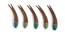 Rachel Fruit Forks Set of 5 (Multicoloured) by Urban Ladder - Cross View Design 1 - 432410