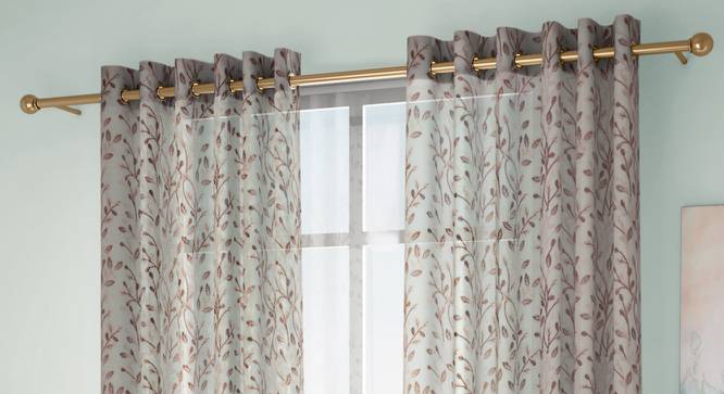 Alondra Window Curtains Set of 2 (Brown, Eyelet Pleat, 109 x 152 cm  (43" x 60") Curtain Size) by Urban Ladder - Front View Design 1 - 433911