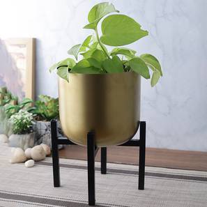 Products At 60 Off Sale Design Minnie Planter with Stand (Black & Golden)