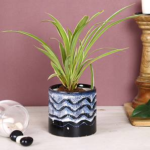 Products At 60 Off Sale Design Waverly Planter (Blue)