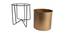 Piper Planter with Stand (Golden) by Urban Ladder - Rear View Design 1 - 435561