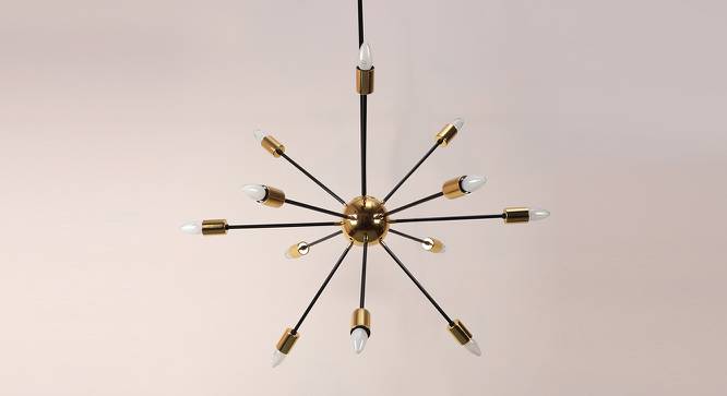 Rainer Chandelier (Black & Gold) by Urban Ladder - Front View Design 1 - 435832