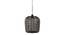 Renesmee Hanging Lamp (Black, Metal Shade Material, Black Matte Shade Colour) by Urban Ladder - Front View Design 1 - 435834