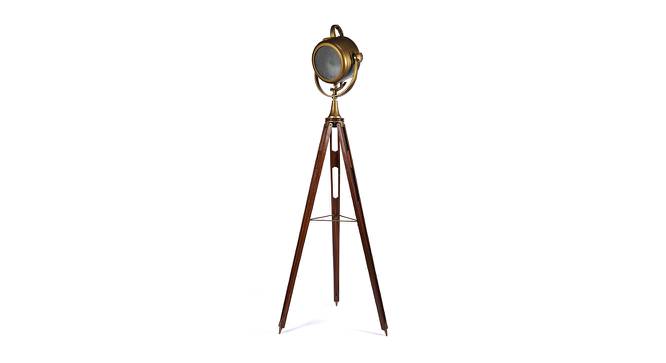 Sansa Floor Lamp (Metal Shade Material, Brass Antique, Brass Antique Shade Colour) by Urban Ladder - Front View Design 1 - 435841