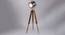 Samwell Floor Lamp (Nickle Shade Colour, Nickle & Teak Wood, Stainless Steel Shade Material) by Urban Ladder - Design 1 Side View - 435859
