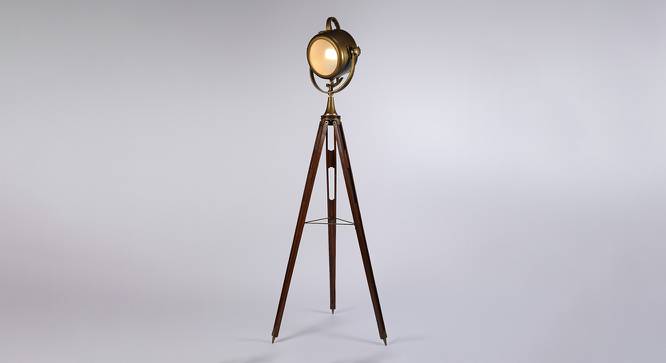 Sansa Floor Lamp (Metal Shade Material, Brass Antique, Brass Antique Shade Colour) by Urban Ladder - Design 1 Side View - 435860