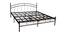 Adolf Bed (Black, King Bed Size) by Urban Ladder - Cross View Design 1 - 436040