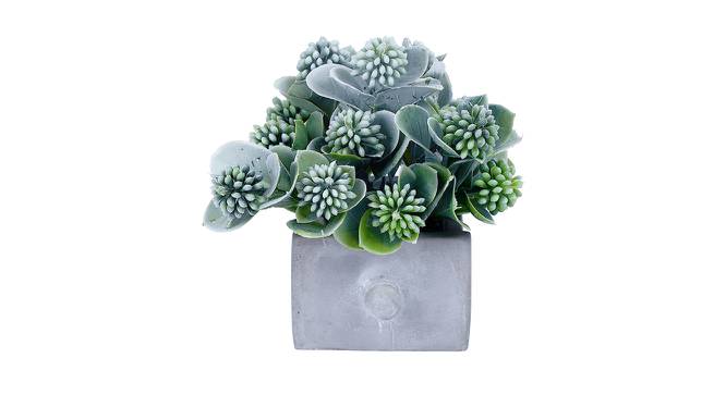 Willa Artificial Plant with Pot (White & Green) by Urban Ladder - Cross View Design 1 - 437347