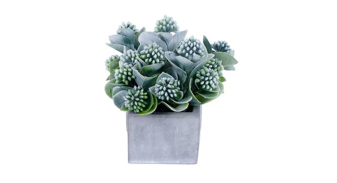 Willa Artificial Plant with Pot (White & Green) by Urban Ladder - Front View Design 1 - 437358