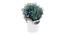 Willa Artificial Plant with Pot (White & Purple) by Urban Ladder - Front View Design 1 - 437359
