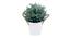 Willa Artificial Plant with Pot (White & Purple) by Urban Ladder - Rear View Design 1 - 437370