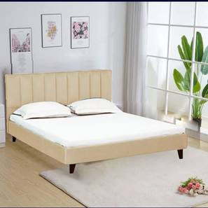 Bedroom Furniture In Tirupati Design Dravis Upholstered Bed (Brown, Queen Bed Size)