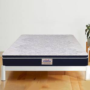 Mattresses Design Euro Top Luxe Memory Foam King Size Pocket Spring Mattress (6 in Mattress Thickness (in Inches), 72 x 72 in Mattress Size)
