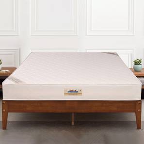 Mattresses Design Ortho Premium Spring Pocket Single Size Mattress (75 x 36 in Mattress Size, 6 in Mattress Thickness (in Inches))