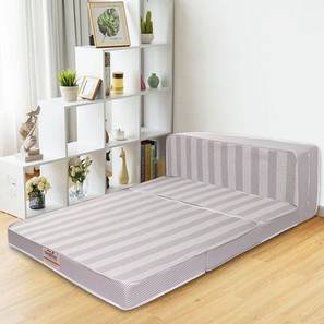 Folding Bed Design Tri - Folding Double Size Foam Mattress (4 in Mattress Thickness (in Inches), 72 x 48 in Mattress Size, Double, Double, Double, Double, Double)
