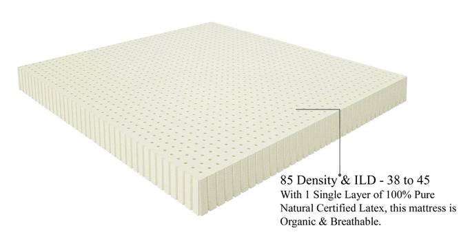 Dreamer Natural Latex Foam 8 inch King Size Mattresss (8 in Mattress Thickness (in Inches), 72 x 72 in Mattress Size) by Urban Ladder - Design 1 Full View - 438204