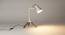 Crane Study Lamp by Urban Ladder - - 44239