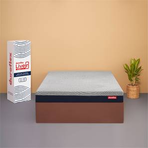 Single Bed Mattress Design LiveIn Duropedic - Orthopedic Certified Single Size Memory Foam Mattress (78 x 36 in (Standard) Mattress Size, 6 in Mattress Thickness (in Inches))