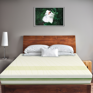 New Arrivals Bedroom Furniture Design Prana - Organic Cotton Fabric 8 Inch Single Size Spring Mattress (Green, Single Mattress Type, 8 in Mattress Thickness (in Inches), 72 x 36 in Mattress Size)