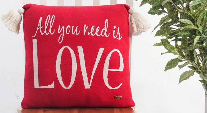 Ansen Cushion Cover (41 x 41 cm  (16" X 16") Cushion Size, Red & Natural) by Urban Ladder - Front View Design 1 - 446758