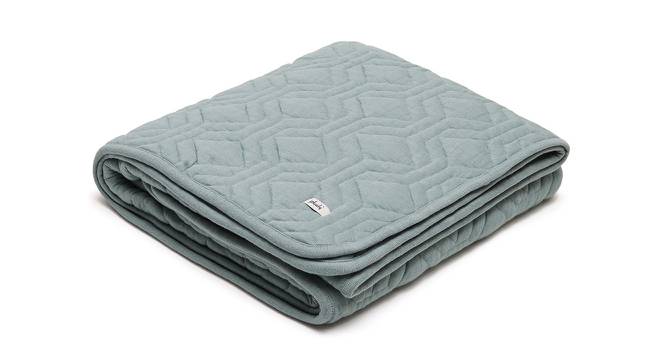 Olive Quilt (Single Size, Dull Blue) by Urban Ladder - Front View Design 1 - 446975