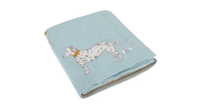 Rufus Blanket (Single Size, Baby Blue) by Urban Ladder - Front View Design 1 - 447056