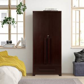2 door outlet wardrobe inside design
