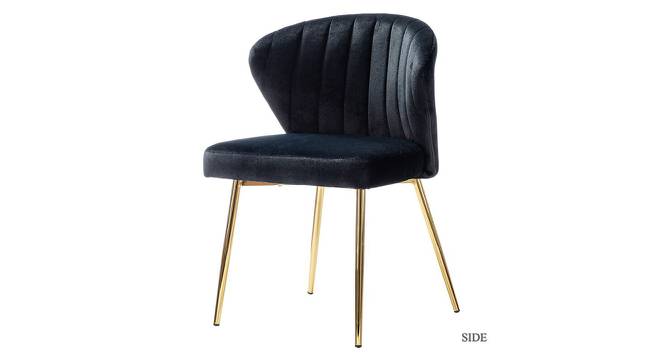 Mischa Lounge Chair (Black) by Urban Ladder - Cross View Design 1 - 449371
