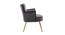 Jelena Lounge Chair (Grey) by Urban Ladder - Front View Design 1 - 449383