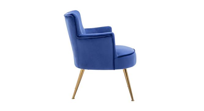 Jelena Lounge Chair (Blue) by Urban Ladder - Front View Design 1 - 449384