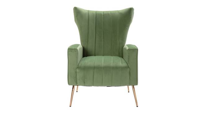 Nada Lounge Chair (Green) by Urban Ladder - Front View Design 1 - 449386