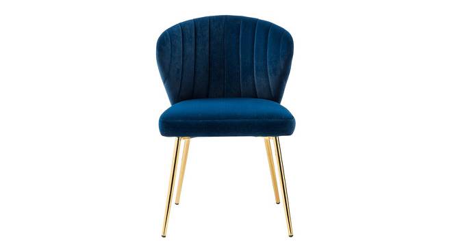 Mischa Lounge Chair (Blue) by Urban Ladder - Front View Design 1 - 449388