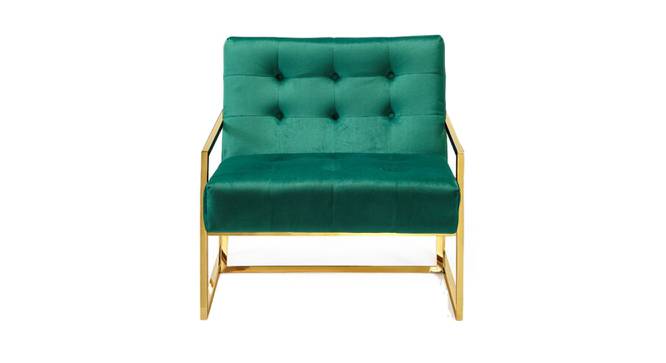 Taina Lounge Chair (Green) by Urban Ladder - Front View Design 1 - 449397