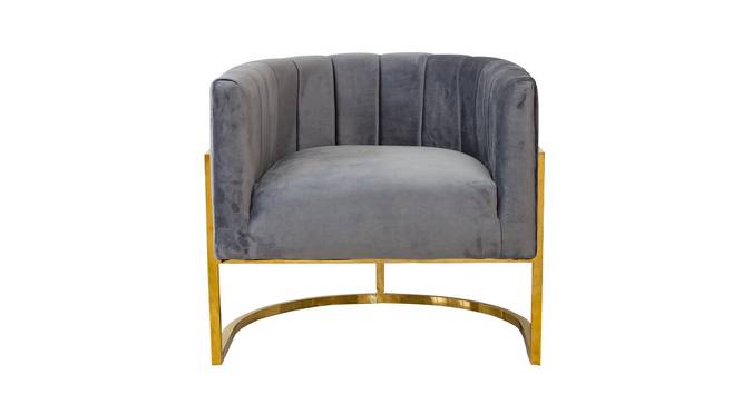 Sasheen Lounge Chair (Grey) by Urban Ladder - Front View Design 1 - 449400