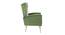 Nada Lounge Chair (Green) by Urban Ladder - Design 1 Side View - 449406