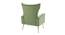 Nada Lounge Chair (Green) by Urban Ladder - Rear View Design 1 - 449419