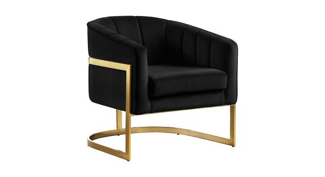 Taska Lounge Chair (Black) by Urban Ladder - Cross View Design 1 - 449468