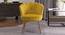 Tyana Lounge Chair (Yellow) by Urban Ladder - Front View Design 1 - 449479