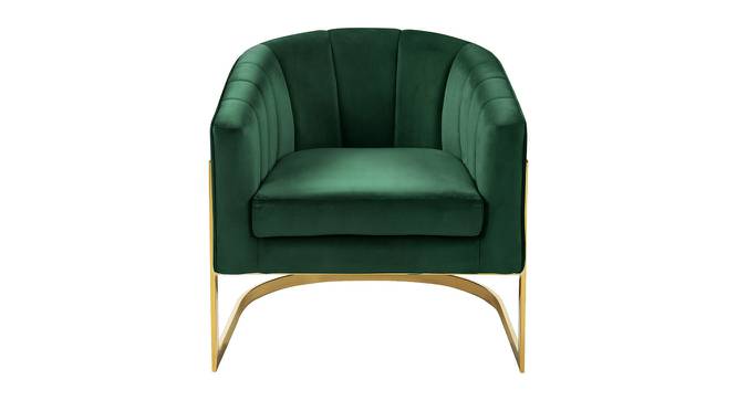 Taska Lounge Chair (Green) by Urban Ladder - Front View Design 1 - 449482