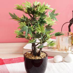 Bella artificial bonsai green lp