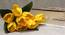Astraea Artificial Flower (Yellow) by Urban Ladder - Front View Design 1 - 450176