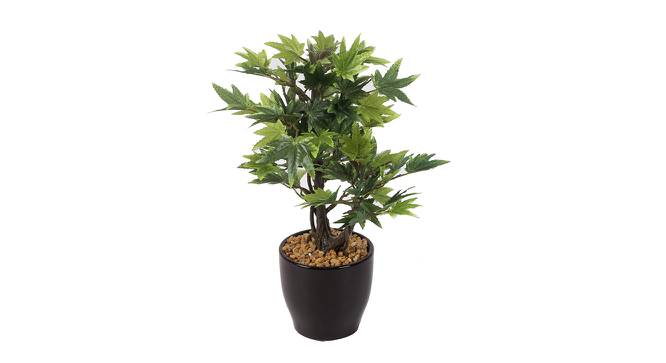 Bella Artificial Bonsai with Pot (Green) by Urban Ladder - Front View Design 1 - 450191