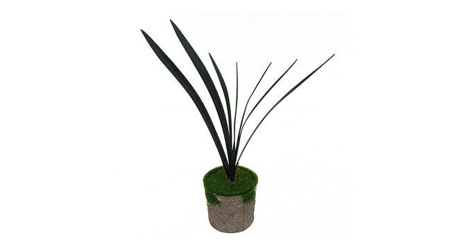 Anna Artificial Plant (Green) by Urban Ladder - Front View Design 1 - 450193
