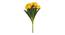Astraea Artificial Flower (Yellow) by Urban Ladder - Design 1 Side View - 450219
