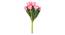 Athena Artificial Flower (Light Pink) by Urban Ladder - Design 1 Side View - 450220