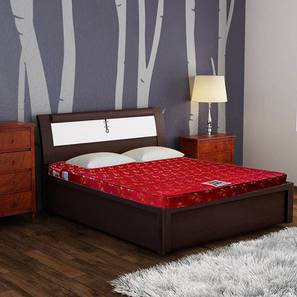 Bedroom Furniture In Tiruppur Design Health Plus Queen Size Coir Mattress (4 in Mattress Thickness (in Inches), 72 x 66 in Mattress Size)