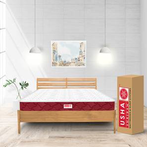 Bedroom Furniture In Nagapattinam Design Midnight Latexo Dual Queen Size High Resilience (8 in Mattress Thickness (in Inches), 75 x 60 in Mattress Size)
