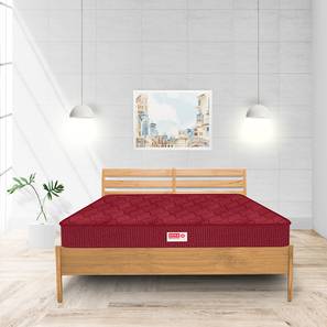 Bedroom Furniture In Gadag Design Usha Shriram Vitalz Orthopedic 4 Inch High Resilience L :80 (Red, Queen Mattress Type, 4 in Mattress Thickness (in Inches), 80 x 60 in Mattress Size)